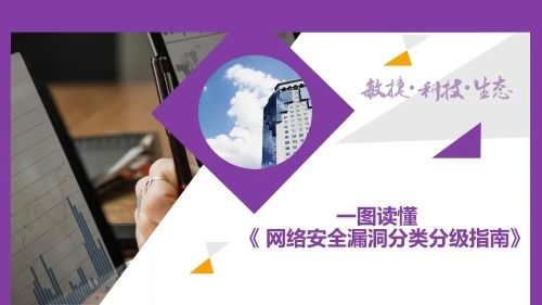 一图读懂网络安全漏洞分类分级指南